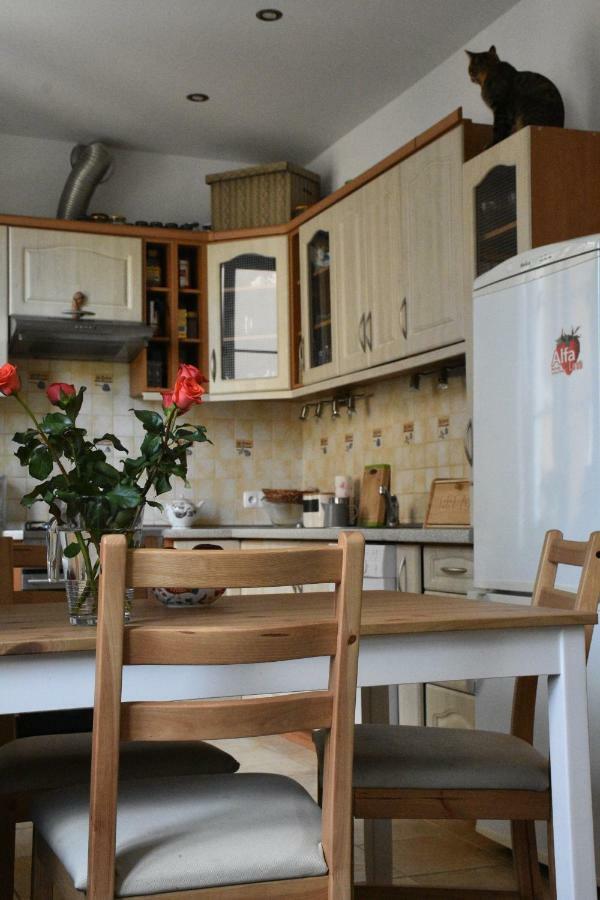 Apartament Rynek 11B 奥普尔 外观 照片